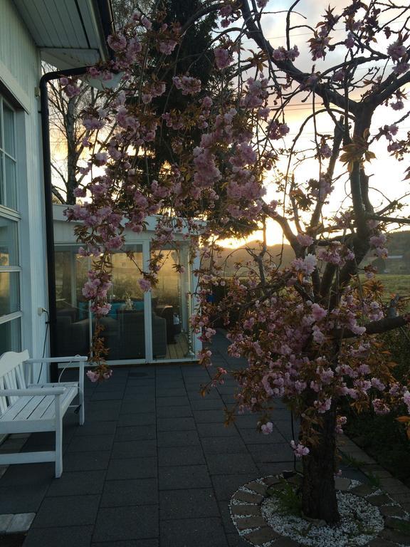 Café Torpet B&B Skepplanda Exterior foto